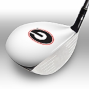 Georgia Logo on White
