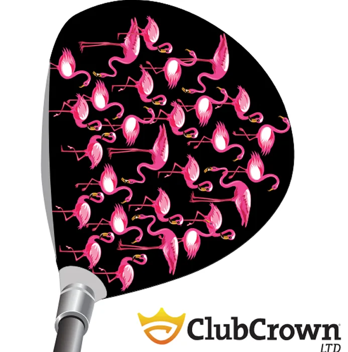 Flamingos on Blk